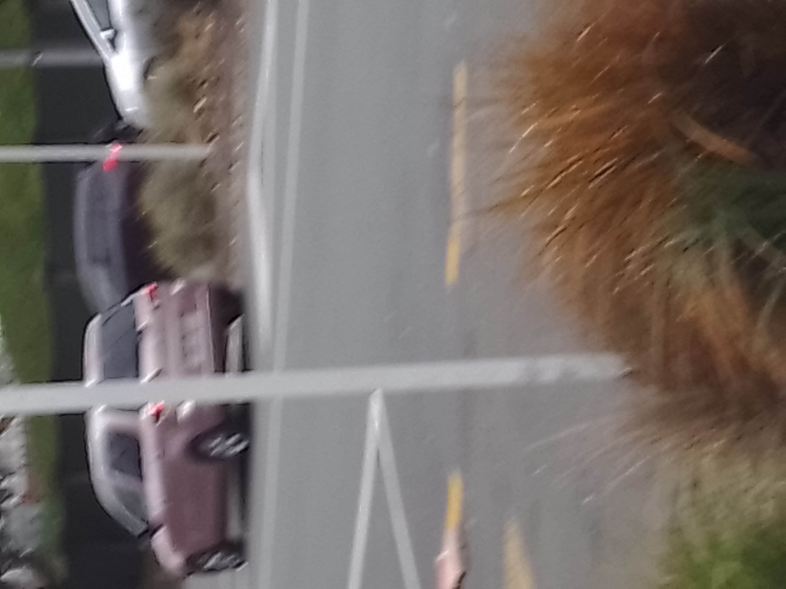 Aroha's car at the intersection